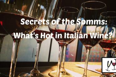What's Hot in Italian Wine Trends? Top Somms Share Their Secrets - Wine Oh TV