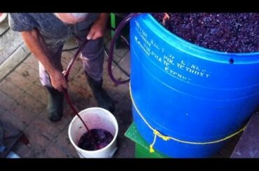 Homemade Italian Wine