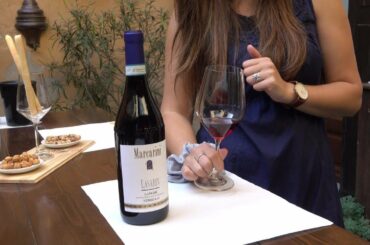 Italian Winery Tour. Making Barolo and other Great Wines