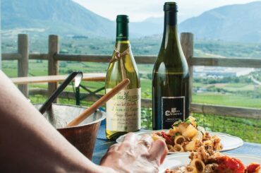 GUIDE TO ITALIAN WINES with Aldo di Filippo | Italian Wine and It's History | Wine Interview