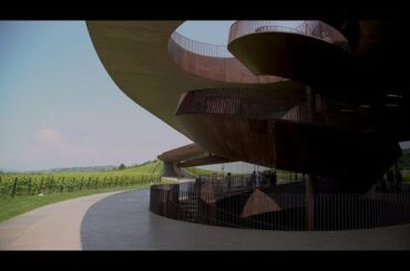 Antinori Family | Italian Wine Producers | Cult Wines