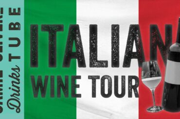 Wine Tour of Italy! | Danny McCubbin & Luca Dusi