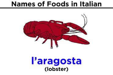 Italian Vocabulary: Food