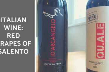 Italian Wine: Red Grapes Of Salento