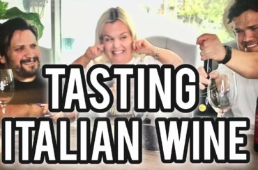 TASTING ITALIAN WINE WITH FAMILY Vlog 168