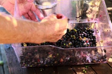 How to make Italian red Wine Vinegar