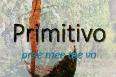 How to Pronounce Primitivo? (CORRECTLY)  What Italian Wine is it?
