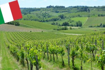 BEAUTIFUL TUSCANY VINEYARDS (AND WINERY), ITALY
