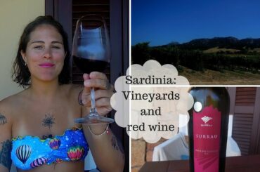 Italian wine: Sardinian vineyards & red wine
