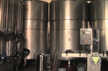 Prosecco -  "Its the hit of Italian wine".mov