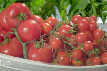 Italian Cooking 101: part 1