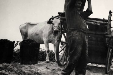 Renato Ratti - Barolo, the Great Italian wine