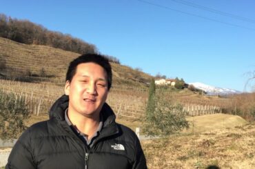 Italian Wine Tasting at Bastianich Winery in Friuli-Venezia Giulia