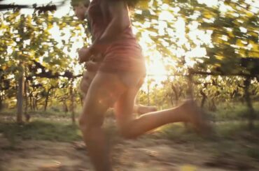 MAKE ITALIAN WINE!  The WINE HARVEST from BELLA VITA MOVIE