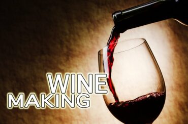 How To Make Wine - The Best!