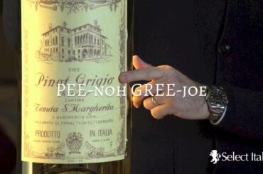 How to Pronounce Italian Wines: Pinot Grigio with Ettore Nicoletto