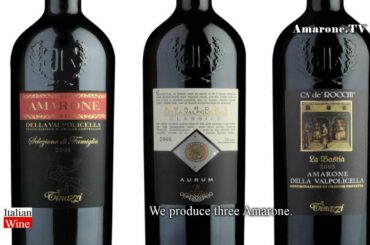 "Amarone TV" -  Azienda Tinazzi Vini - "Italian Wine" - by Stile Italia Tv