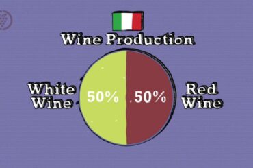 Italian Wine - Grape Globe