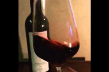 Slo-Mo Swirling Italian Wine - 2014 Bruno Rocca Barbera d'Asti