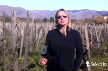 How to Pronounce Italian Wines: Nerello Mascalese with Tenuta di Fessina