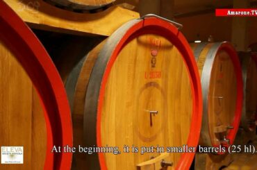 "Wine for Gentleman" - Società Agricola Eleva (3 di 6): Amarone "Italian Wine"