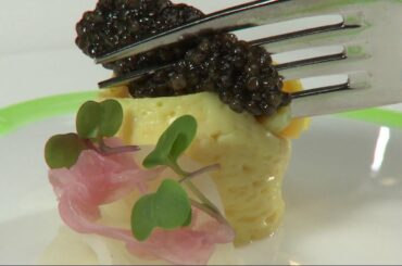 Gold Mirror Italian Restaurant, The Plumed Horse, NIDO: Check, Please! Bay Area reviews