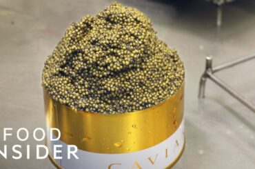 Inside Europe's Biggest Caviar Farm