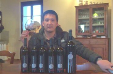 Hedonistic Red Italian Wines from Moschioni