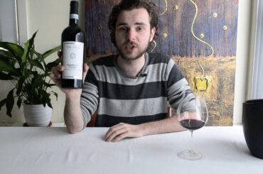 Wine Expert tastes Italian Wine: Villa Penna Nebbiolo d'Alba 2011