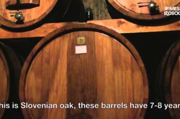 The Contucci Saga, Chapter Two - Italian Wine Series