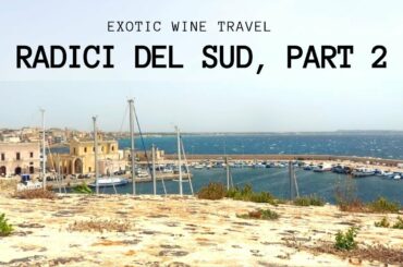 South Italian Wine at the Radici del Sud in Puglia: Part 2