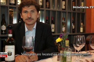 "Italian Wine" -  "Nipozzano Riserva"  2009  -  "Marchesi de' Frescobaldi" - "Stile Italia Tv"