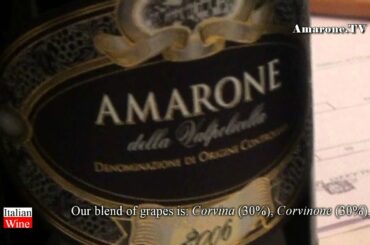"Amarone TV" - Azienda Montezovo - Vini - "Italian Wine" - by Stile Italia Tv