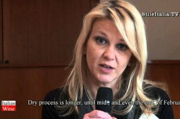 "Amarone TV" - Azienda Recchia Fratelli - Vini -  "Italian Wine"- by Stile Itali