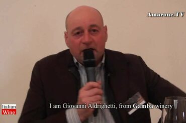 "Amarone TV" - Azienda Gamba - Vini -  "Italian Wine" - by Stile Italia Tv
