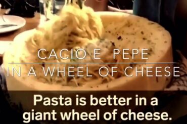 Spaghetti cacio e pepe - Italian Food from Italy