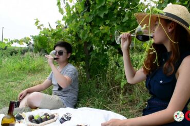 Intern Abroad in Italy: Wine, Food Studies, Agriculture, Farming, Sustainability