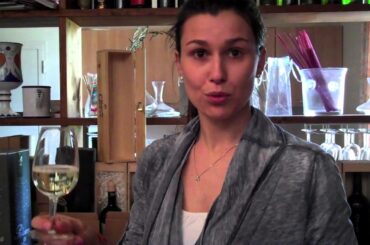 How To Taste and Pair Your Favorite Italian Wines