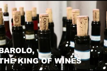WHY IS BAROLO SUCH A GREAT WINE?