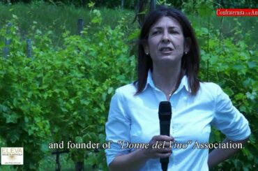 "Wine for Gentleman" - Società Agricola Eleva  Amarone:  La Storia - "Italian Wine"