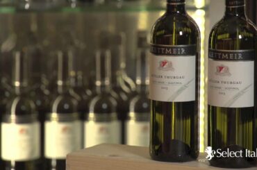 How to Pronounce Italian Wines: Müller-Thurgau with Alberto Ugolini