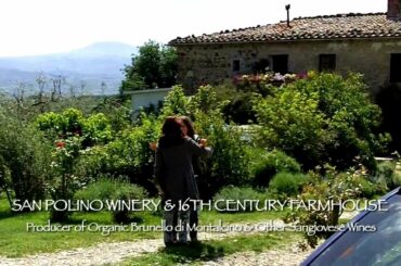 Wine Tour In Tuscany