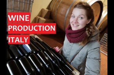 WINE PRODUCTION & DEGUSTATION  ll BAROLO ll ITALY ll EUROPE ll Daily Russian Guide