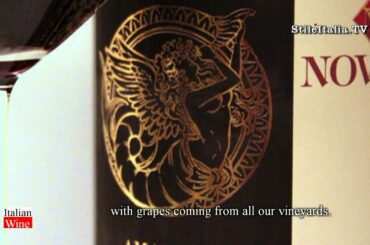"Amarone TV" - Azienda Novaia - Vini -  "Italian Wine! - by Stile Italia Tv