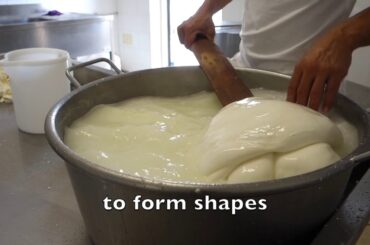 Making Mozzarella and Burrata by Hand in Italy