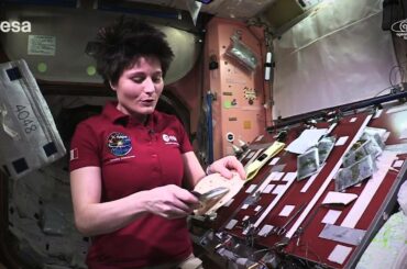 Cooking in space: whole red rice and turmeric chicken