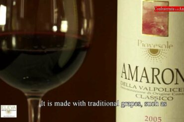 "Wine for Gentleman" - Società Agricola Eleva (4 di 6):  Amarone "Piovesole" - "Italian Wine"