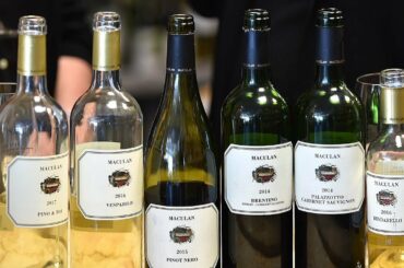 Exploring Wines: Maculan Winery from Breganze, Italy