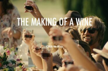 ZIOBAFFA organic italian wines, inspired by our surf travels