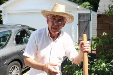 Homemade Tomato Sauce